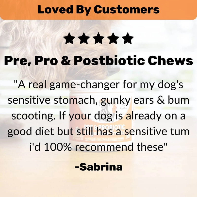 Dog Digestive Health Chewable Tablets