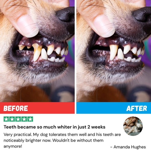 Pet Dental Cleaning Wipes