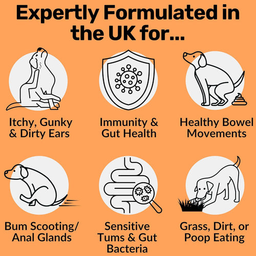 Dog Digestive Health Chewable Tablets